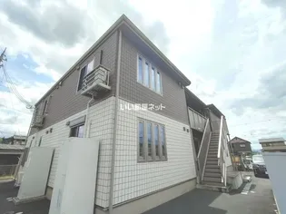 ホワイト カメリアの画像