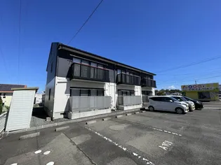 シャインスターT Bの画像