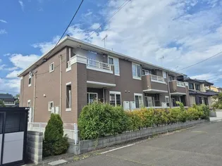 セフィオ グレースFの画像