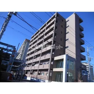 モア ベリーの画像