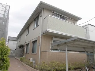 バンビーニの画像