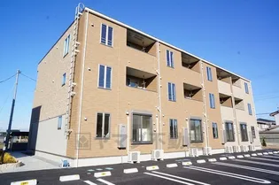 SMALL FOREST1の画像