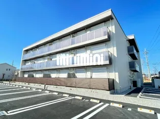 クリザンテームの画像