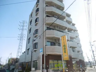 新川崎ロイヤルパレスの画像