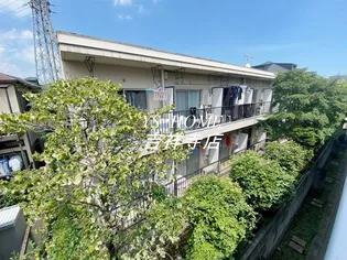 アイビーアレイの画像