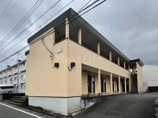 アムール琴の画像