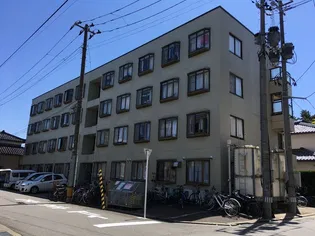 LILYーBE笹口の画像