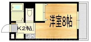 fiore宮島口【1階】の間取り