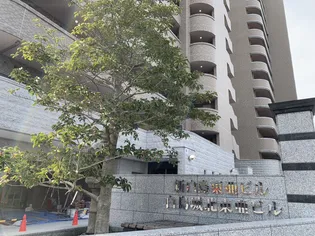 白島城北東亜ビルの画像