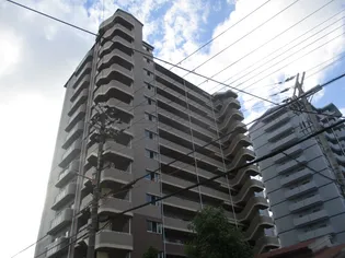 大阪府大阪市住之江区新北島7【マンション】の外観