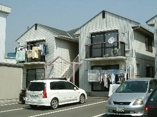 グレイスヤマヨシEの画像