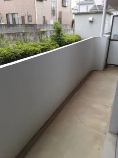 アメニティパレスワタナベ【1階】の内装