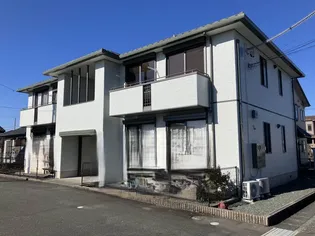 ピア グリーンの画像