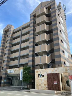 ピソ子飼の画像