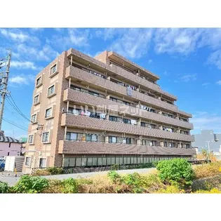 オータムライトIIIの画像