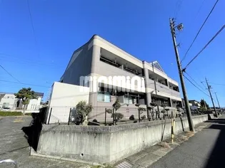 クレール向日葵の画像