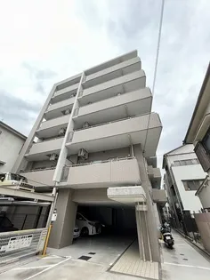 ティンカーベルの画像