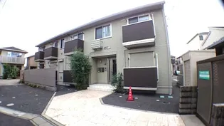 プルメリアの画像