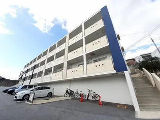 バーバリー ヒルの画像