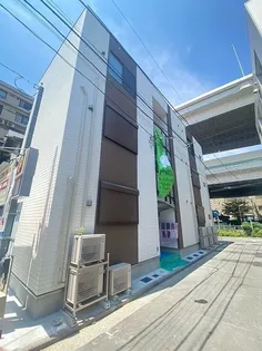 プラシードKの画像