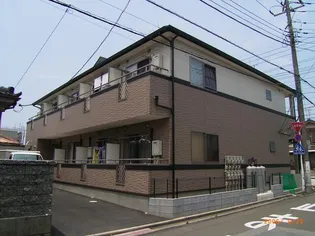 オリエンタルNの画像