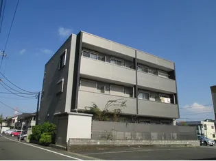 ルナーリアの画像