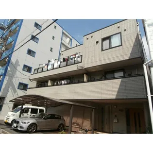 ステラ中央の画像