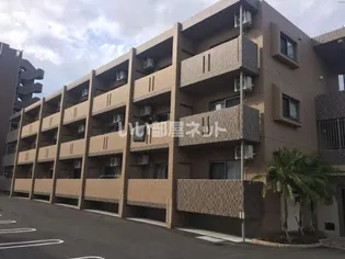 アンシャンテYの画像