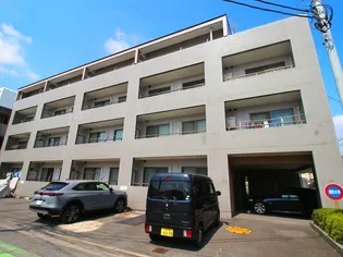 プレミールアライの画像