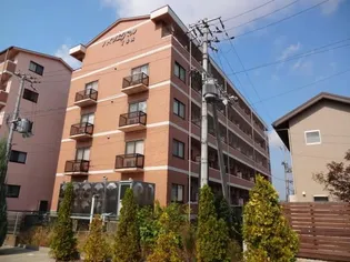 ハイツエクセルV番館【1階】の外観