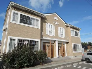 プラシードの画像