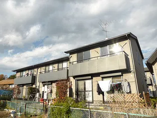 オストベルグ ミヤコBの画像