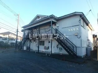 コスモスの画像