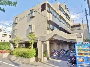 ファミール菊の画像