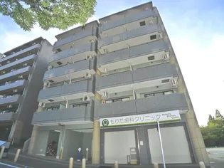 デライトコートVの画像