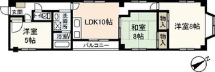 スカイシティ9番館【3階】の間取り
