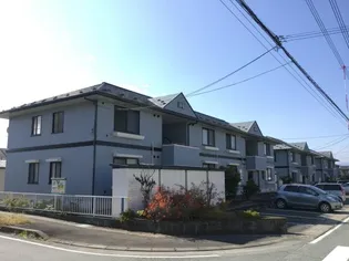 ディアス カムトゥルーの画像