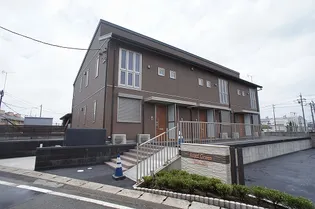 ロイヤルグリーンの画像
