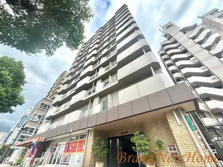 シャトー宿院【8階】の外観