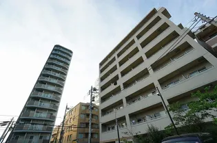 フルウムの画像