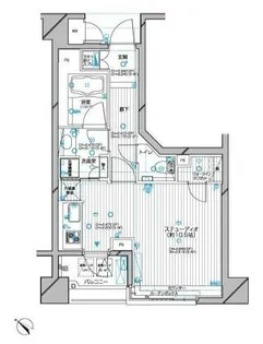 東京都目黒区碑文谷5【マンション】の間取り