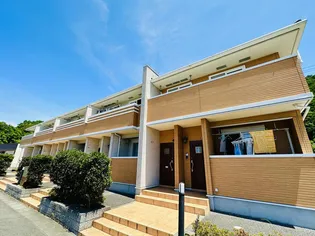 ラッフィナートの画像