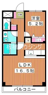 メゾン ド 和【2階】の間取り