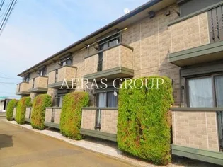 プリムローズの画像