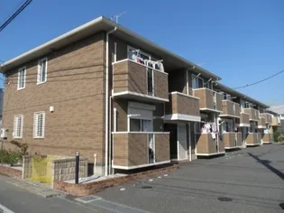 エテルナピーノAの画像