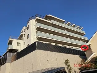 RIVIERA SHITEの画像