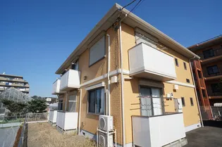 チーメゾンの画像