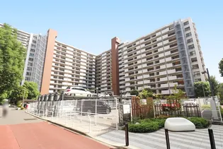 UR光が丘パークタウンいちょう通り八番街の画像