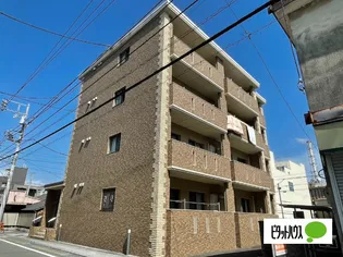 アンバーIIの画像