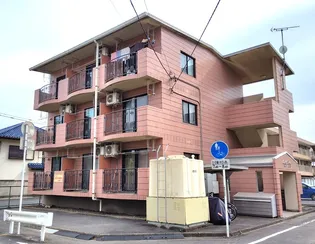 カーサ パルマの画像